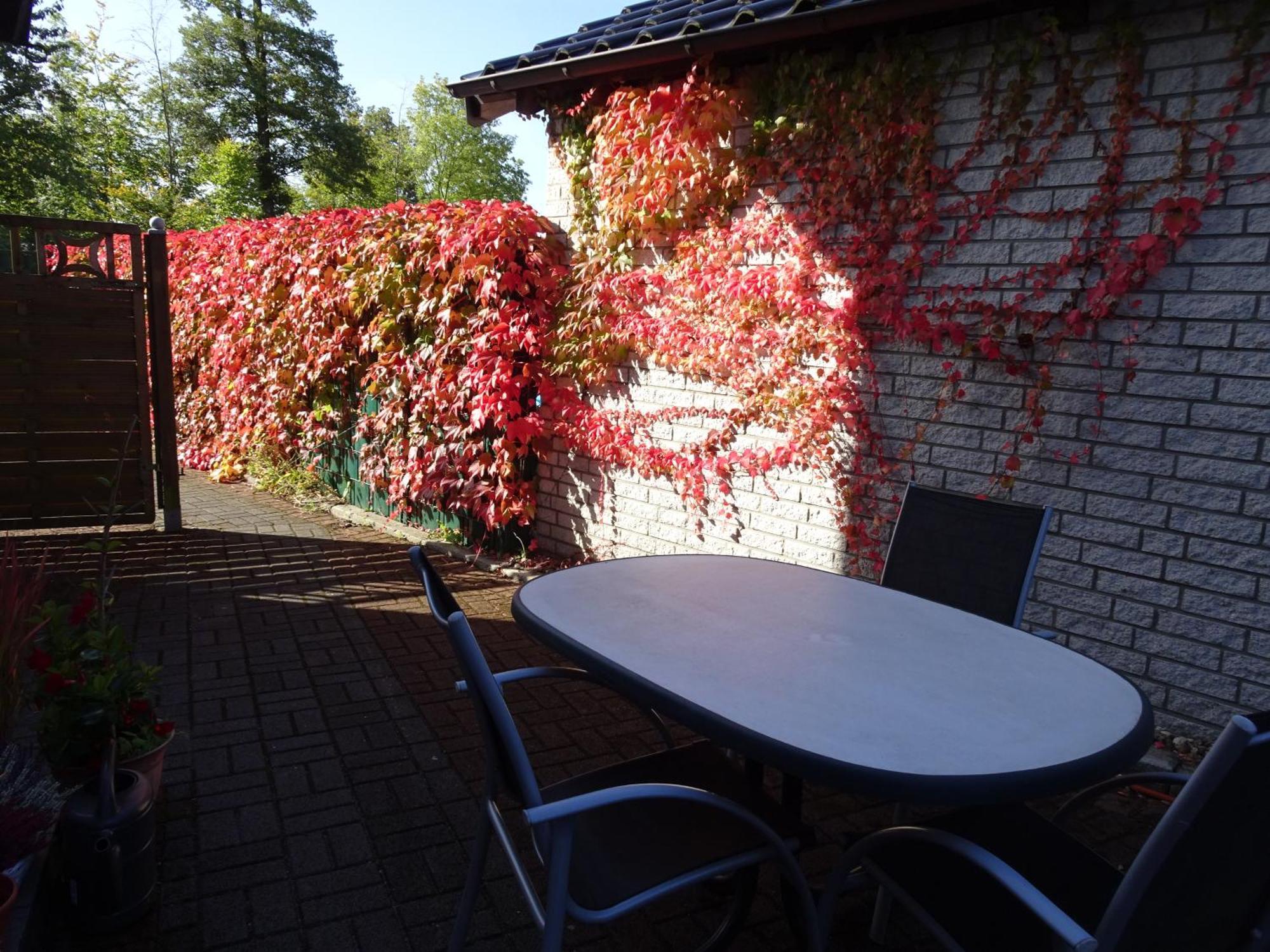 Ferienwohnung Im Gruenen Mit Terrasse Wf Хердеке Екстериор снимка